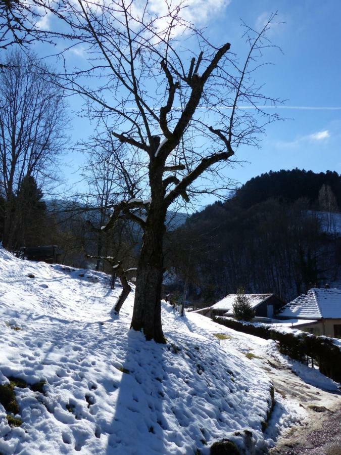 Gite Aux Sapins แซ็งต์-มารี-โอ-มีน ภายนอก รูปภาพ