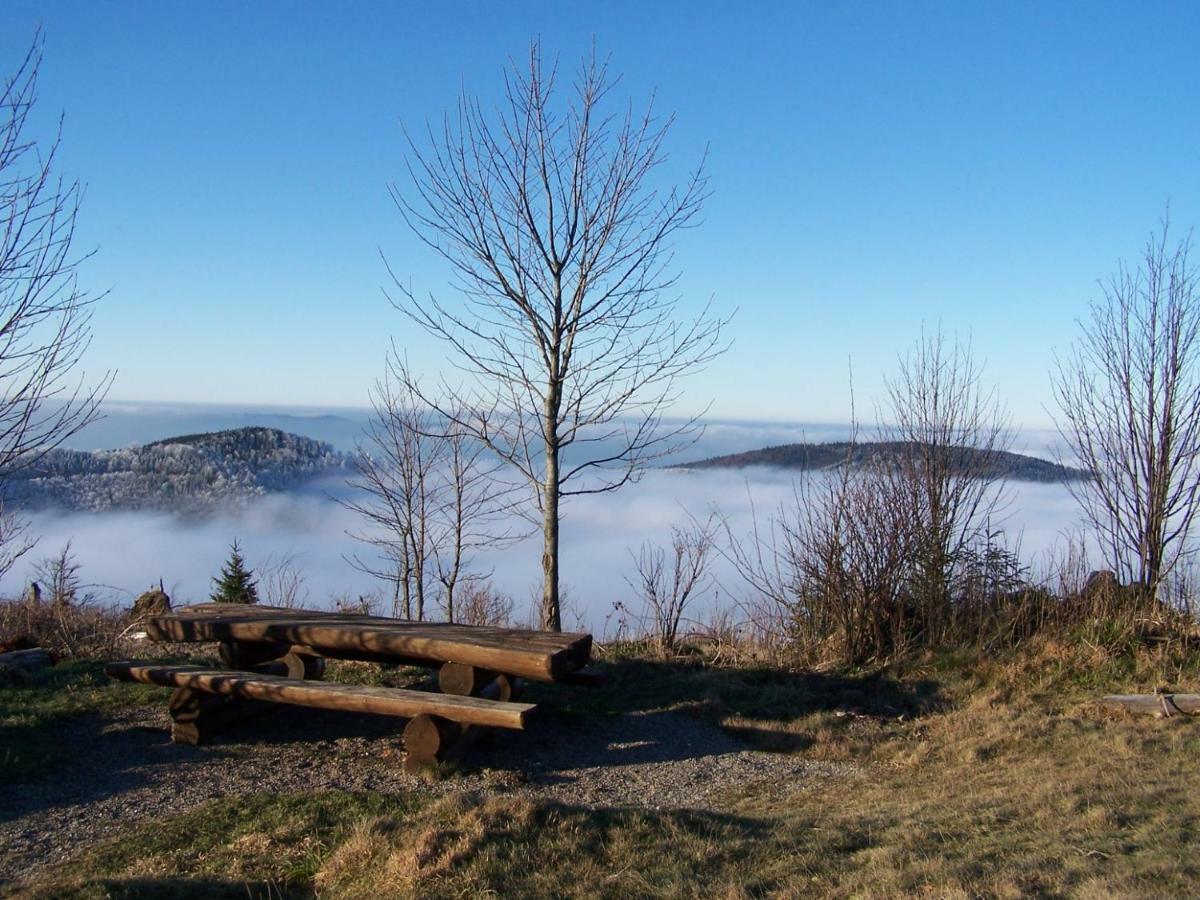 Gite Aux Sapins แซ็งต์-มารี-โอ-มีน ภายนอก รูปภาพ